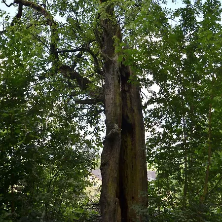 Horizons Du Apartment